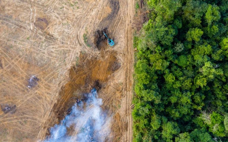 L’altération des écosystèmes, source de nouvelles épidémies comme le Covid-19