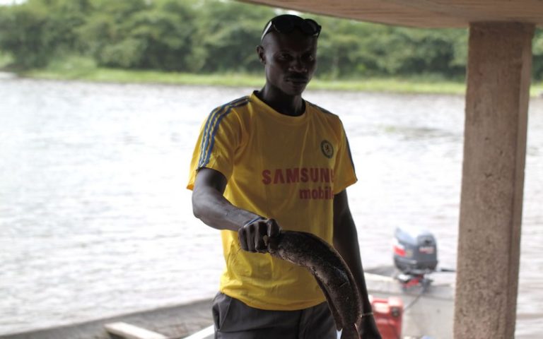 Le Bénin accueille un double séminaire sur le développement de l’aquaculture