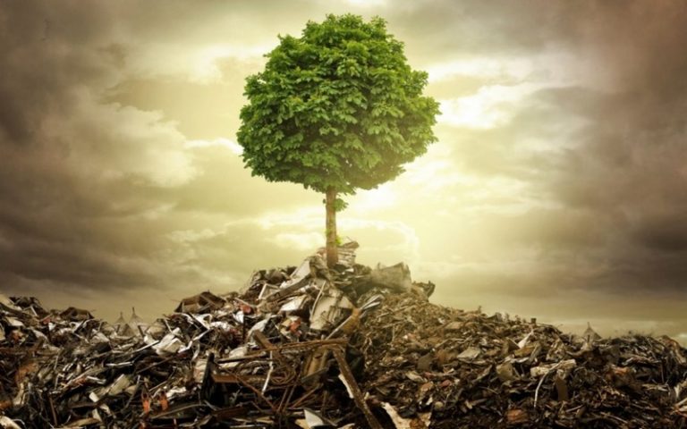L’Afrique face aux défis écologiques