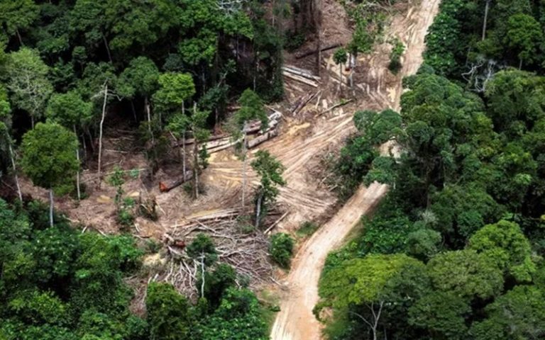 RDC : Greenpeace Afrique s’érige contre l’attribution de 9 concessions aux chinois