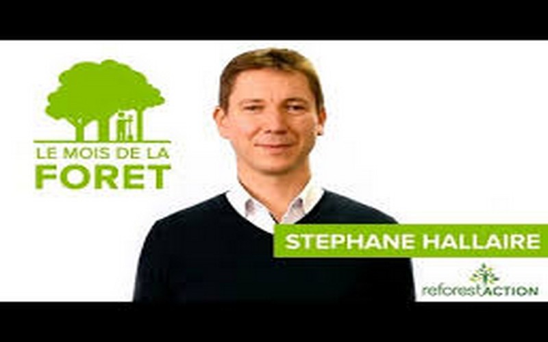 Reforest’Action initie le Mois de la Forêt et invite à « prendre conscience que la forêt nous est utile au quotidien »