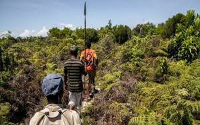 Le Sénégal axe la Journée mondiale de l’environnement sur la régénération des écosystèmes