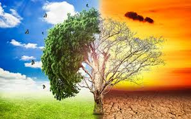 100 millions $ du Fonds vert pour le climat dédiés à l’action climatique au Liberia