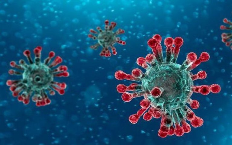 Covid-19 : les spécialistes dénoncent le passage du virus à l’homme et alertent