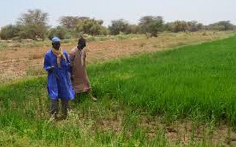 Covid-19 : l’Afrique de l’Ouest interpellée sur la gestion des réformes foncières