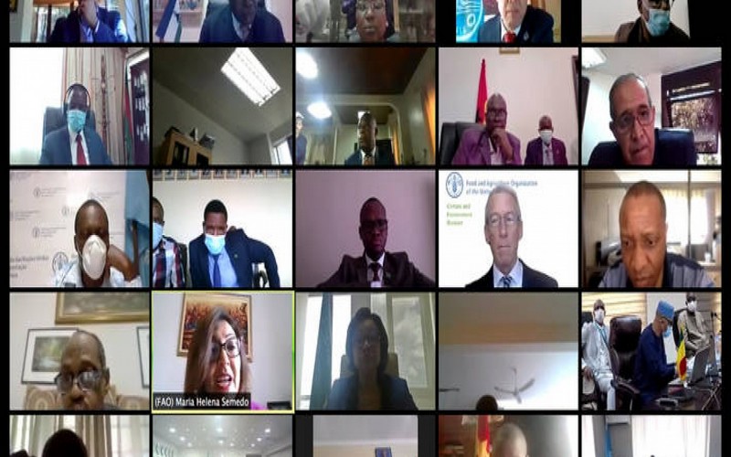 La FAO et l’UA s’unissent pour protéger la sécurité alimentaire face à la menace du Covid-19