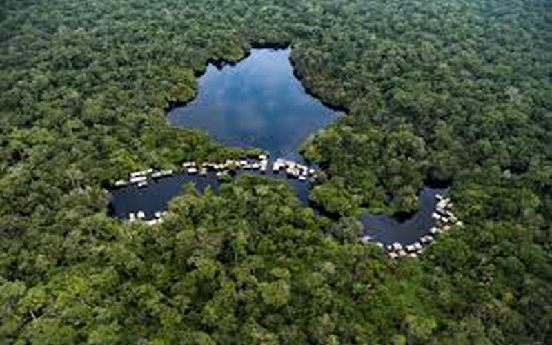 La menace pèse sur le Bassin du Congo, deuxième poumon vert de la planète