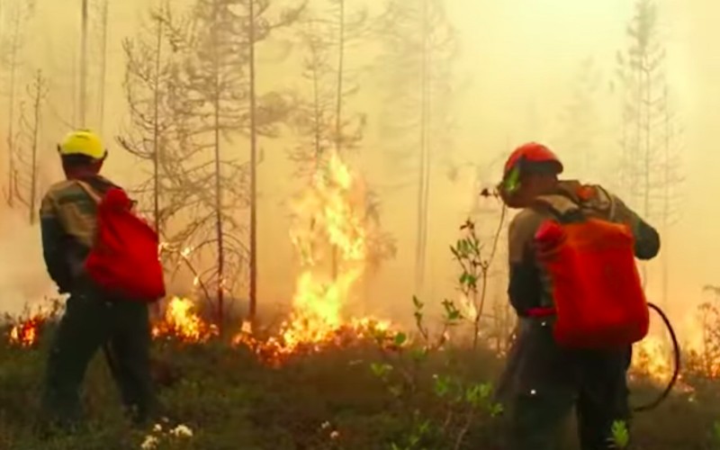 Les feux de forêts qui se sont déclarés aux Kazakhstan éteints