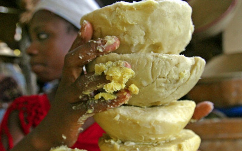 L’AGK et la FAO évoquent le potentiel du karité pour atténuer les effets du changement climatique