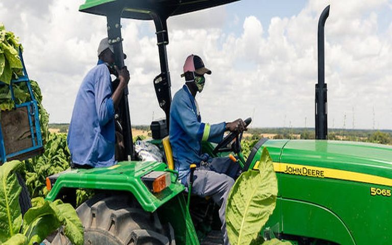 L’Afrique invitée à « revoir son système agricole et alimentaire » face au Covid-19