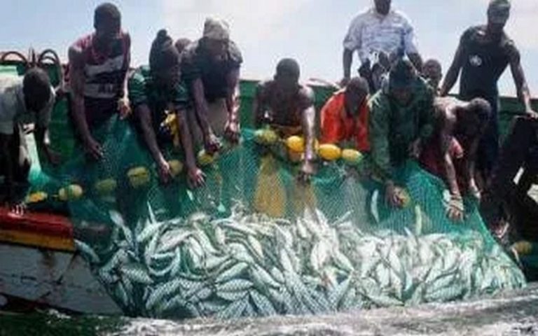 L’agro-écologie est un outil de durabilité des ressources naturelles, selon Moussa Mbengue