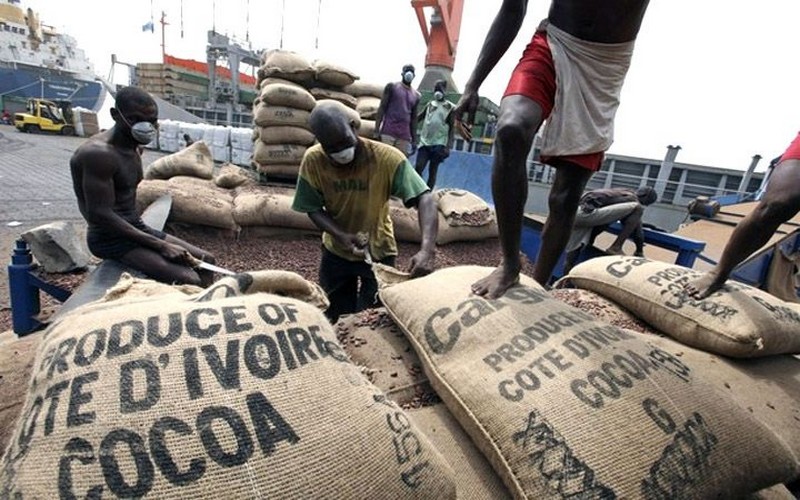 En Côte d’Ivoire, le cacao et la noix de cajou restent à quai