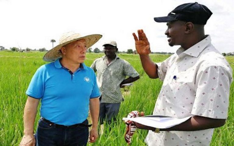 « La Chine reste un acteur discret dans l’agriculture africaine malgré les nombreuses polémiques », selon Fred Gale