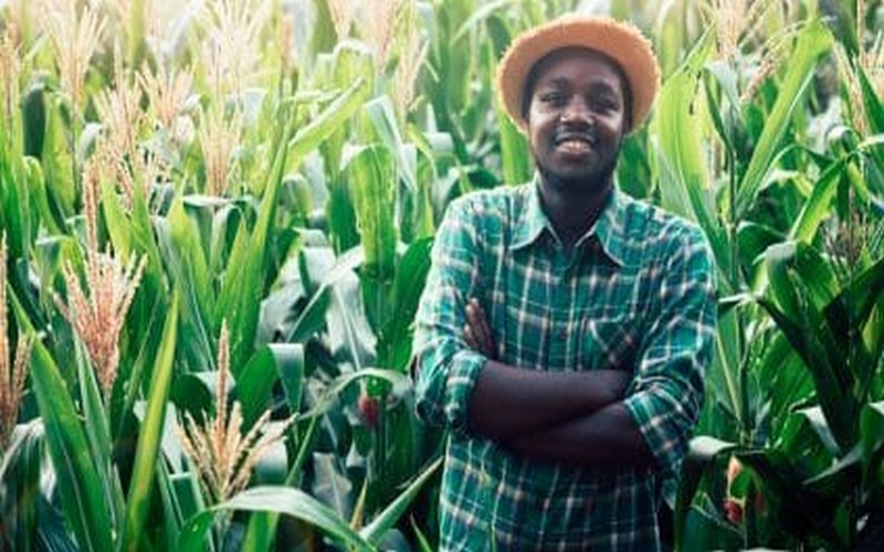 2 millions € de la Climate Innovation and Investment Facility pour l’agriculture intelligente en Afrique de l’Est