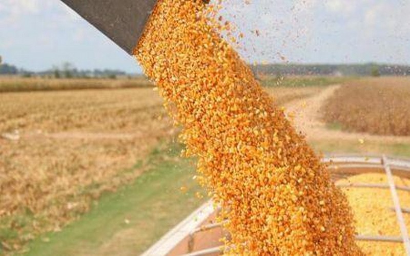 ADMARC en quête de 136 millions $ pour financer l’achat de produits agricoles au Malawi