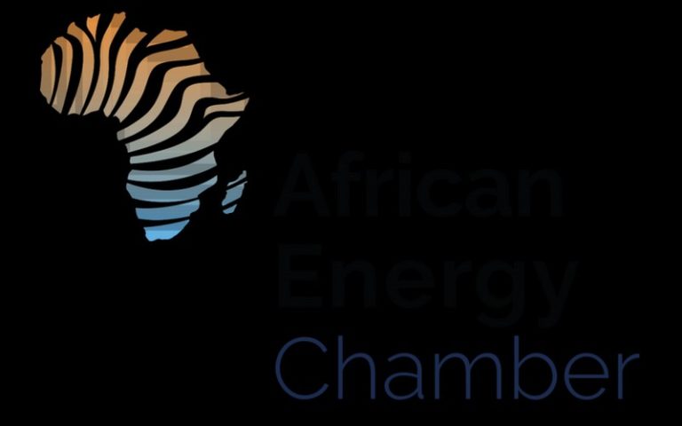 L&rsquo;Afrique invitée à penser localement afin de financer sa transition énergétique et son industrialisation
