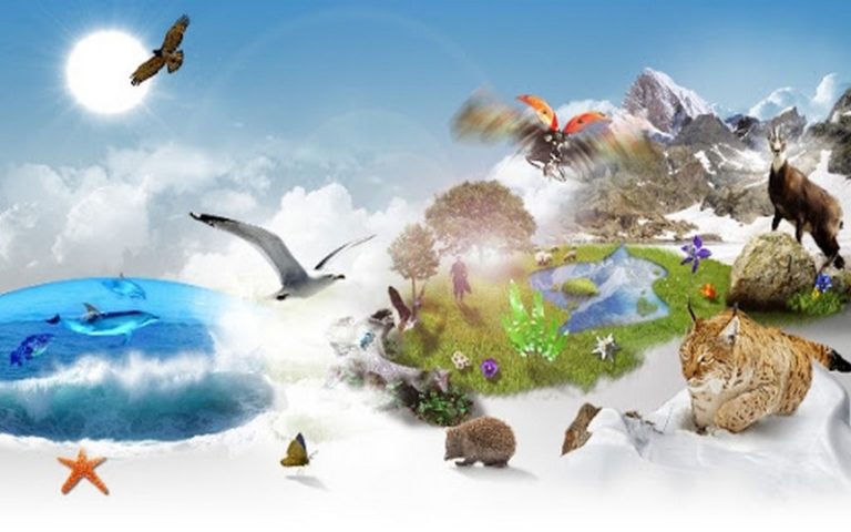 La Journée mondiale de la biodiversité célébrée ce 22 mai 2020