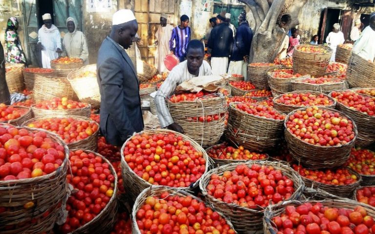 La longue marche du Nigeria repose sur l’autosuffisance en concentrés de tomate
