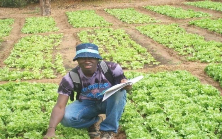 Le secteur agricole Béninois, moteur de relance de la croissance économique nationale en 2019