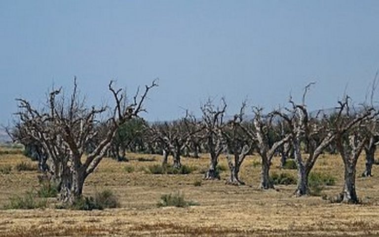 Le manque d’eau menace le Maghreb