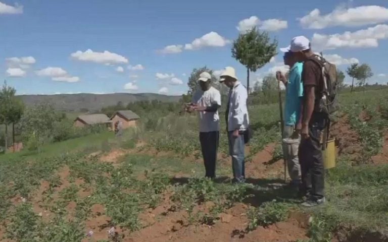 Les analyses de l’espoir portant sur le paradoxe de l’agriculture malgache