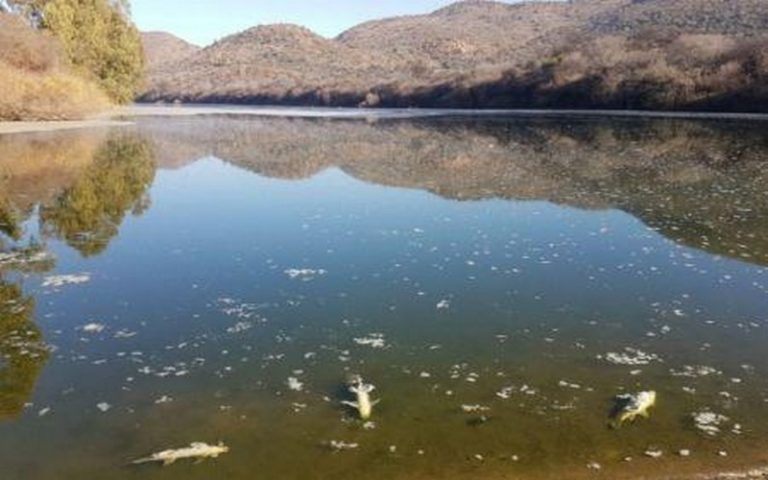 L’Afrique du Sud consacre 24 millions $ à la dépollution de la rivière Vaal
