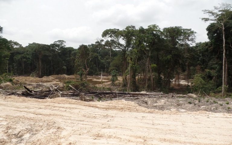 République du Congo : l’exploitation de l’or, la Sangha au bord du désastre écologique