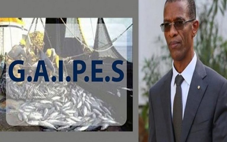 Sénégal : la polémique entre ministère des Pêches et de l&rsquo;Economie maritime et acteurs du secteur est un débat d&rsquo;ordre national (APRAPAM)