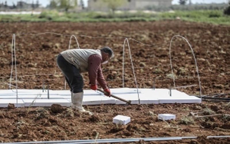 La FAO aide à sensibiliser les petits exploitants familiaux à la covid-19