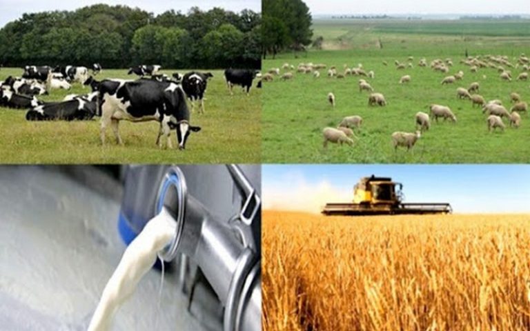 La crise du lait dans les pays développés menace la filière en Afrique de l’Ouest