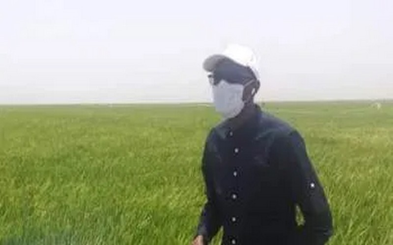 Le Directeur général de la SAED invite à combattre les oiseaux granivores dans la vallée du fleuve Sénégal