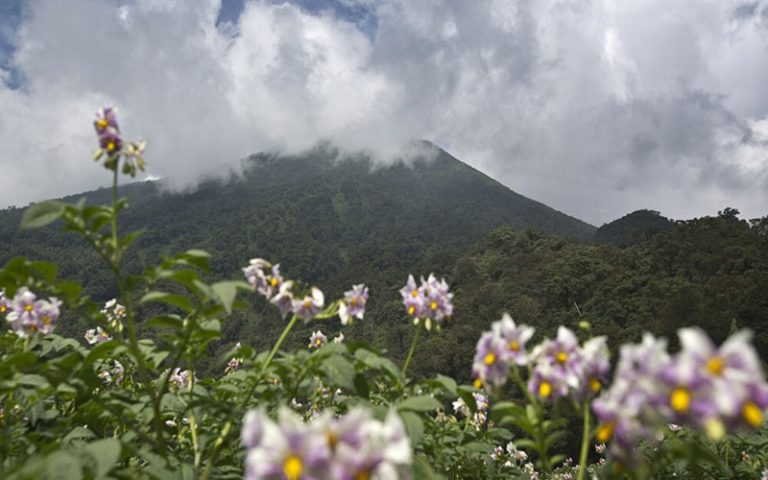 Le Rwanda, cœur écologique de l’Afrique, compte investir plus de 11 milliards de dollars dans le climat