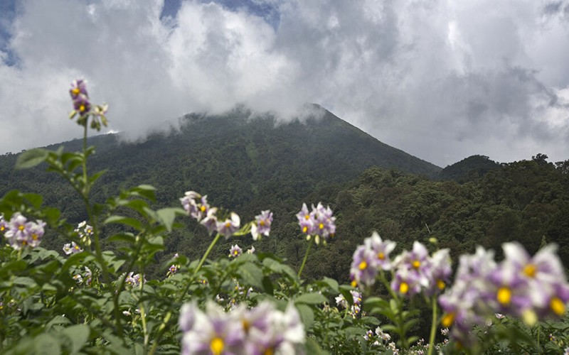 Le Rwanda, cœur écologique de l’Afrique, compte investir plus de 11 milliards de dollars dans le climat