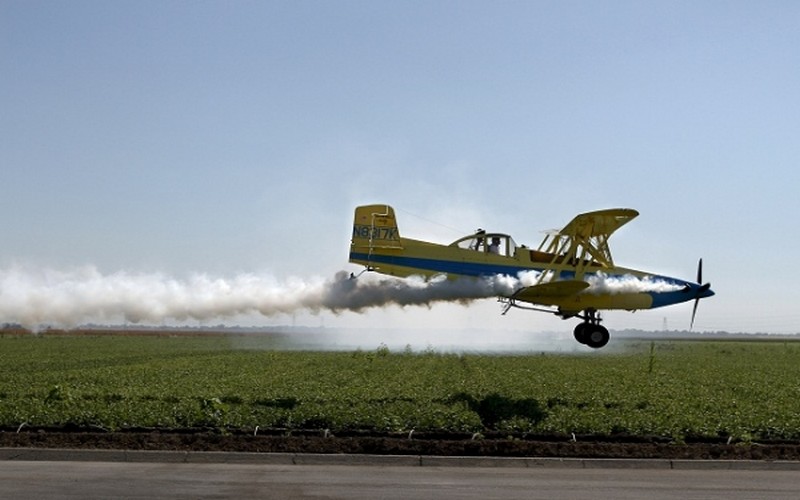 Le Sénégal bientôt en croisade contre les oiseaux granivores