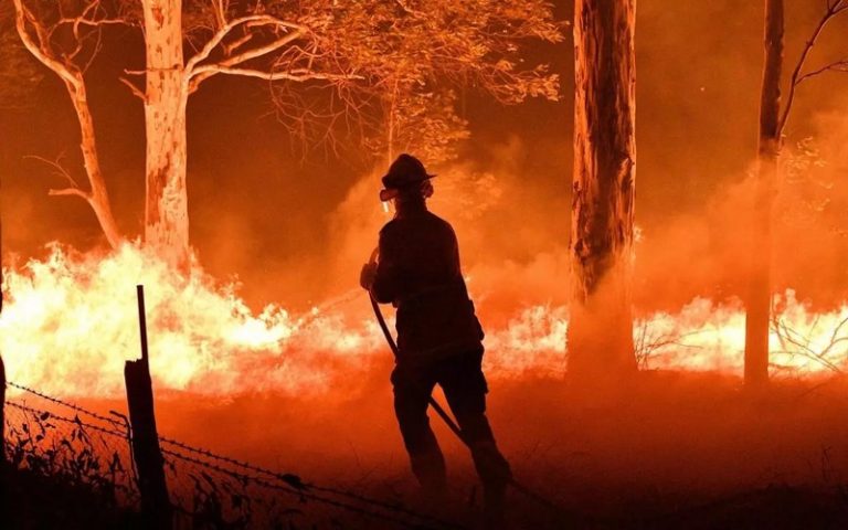 Le monde lutte contre les feux de forêt en pleine pandémie