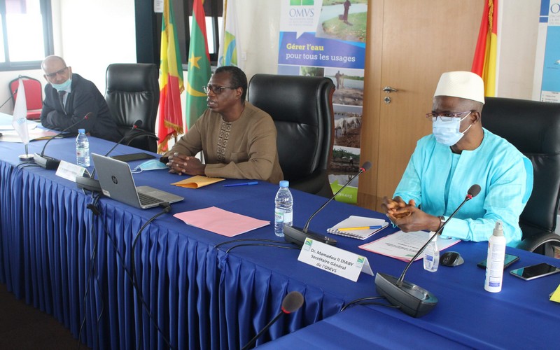 L’Afrique entre projet d’aménagement hydroélectrique et sélection végétale