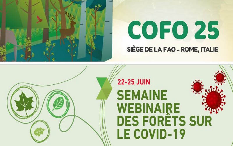 La Semaine Webinaire des forêts sur le COVID-19 célébrée du 22 au 25 juin 2020