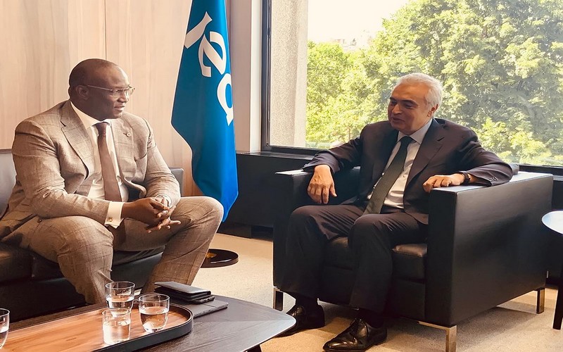 Trouver l’énergie d’engager la reprise en Afrique, après la pandémie et la récession