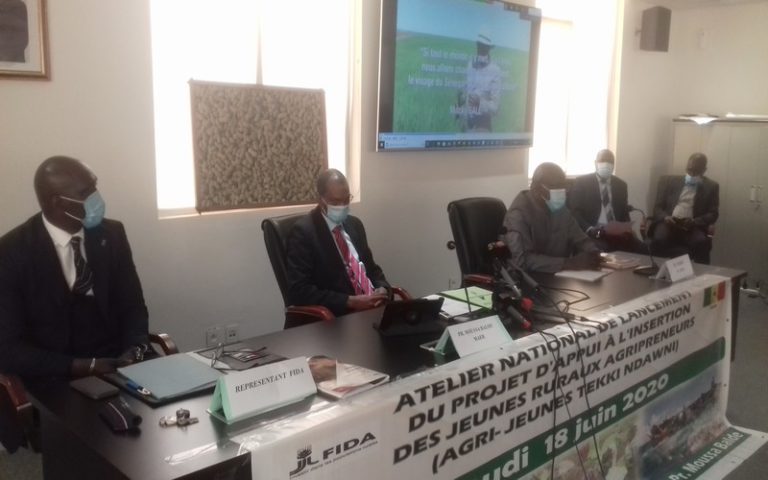 « Chaque année, entre 160 000 et 200 000 jeunes arrivent sur le marché du travail », selon le ministre Sénégalais de l’Agriculture