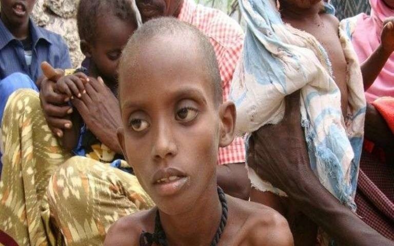 Sécheresse : 20 millions de personnes par la famine dans la Corne de l&rsquo;Afrique  