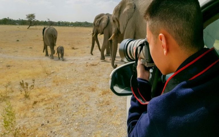 Afrique : plus de 70 photographes collectent des fonds pour la faune sauvage
