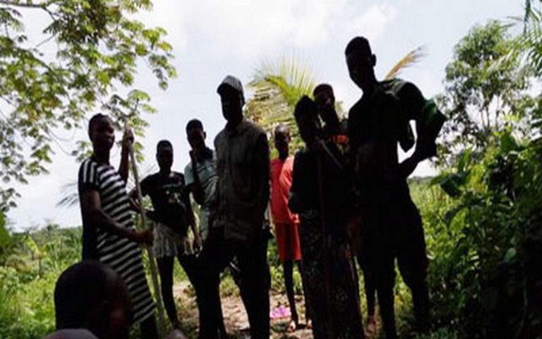 Communautés d’Afrique résistent aux plantations industrielles de palmiers à huile, même en temps de Covid-19