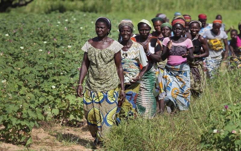 De la ferme à l’assiette : les femmes qui défendent la transformation agricole en Afrique