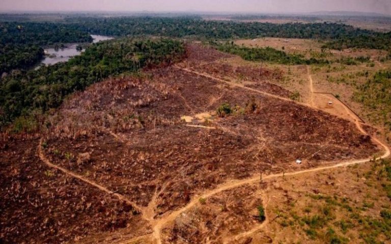 Déforestation : environ 38 000 km² détruits en 2019, selon une étude