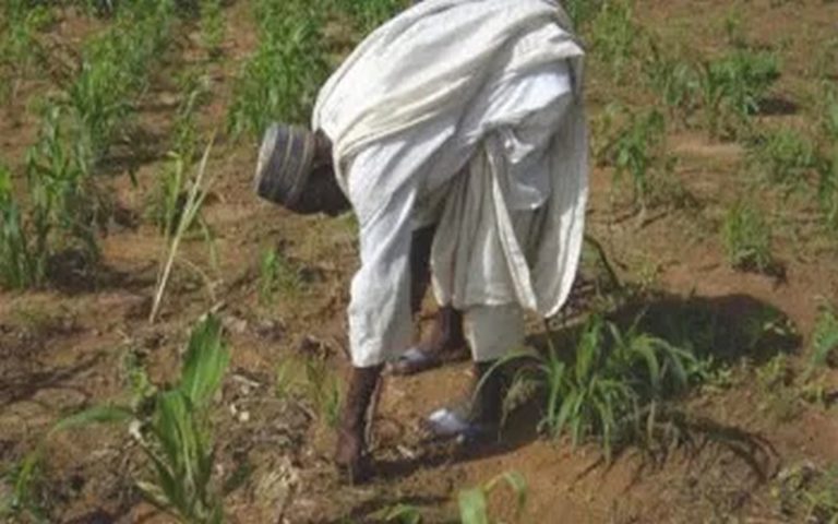 Sénégal : dépossession des terres du monde rural : les hectares de la colère