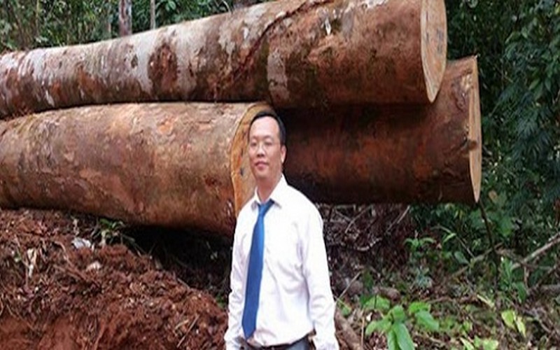 Gabon : Huang Renren écope de 6 mois de prison pour exploitation forestière illégale