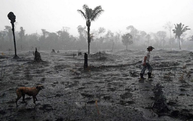 La déforestation est une affaire humaine
