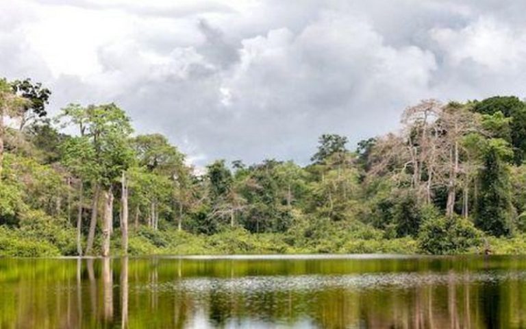 L&rsquo;indice de performance environnementale 2020 : 51 pays africains classés sur la base de 32 indicateurs de performance