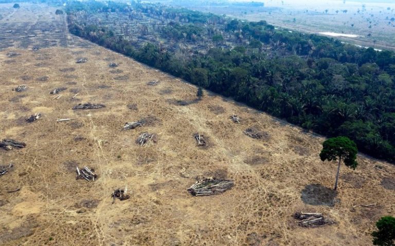 Préservation de la forêt amazonienne : Jair Bolsonaro sous pression
