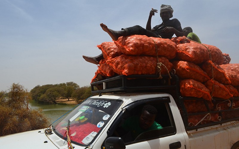Sénégal : implications alimentaires et nutritionnelles de l’épidémie de la Covid-19